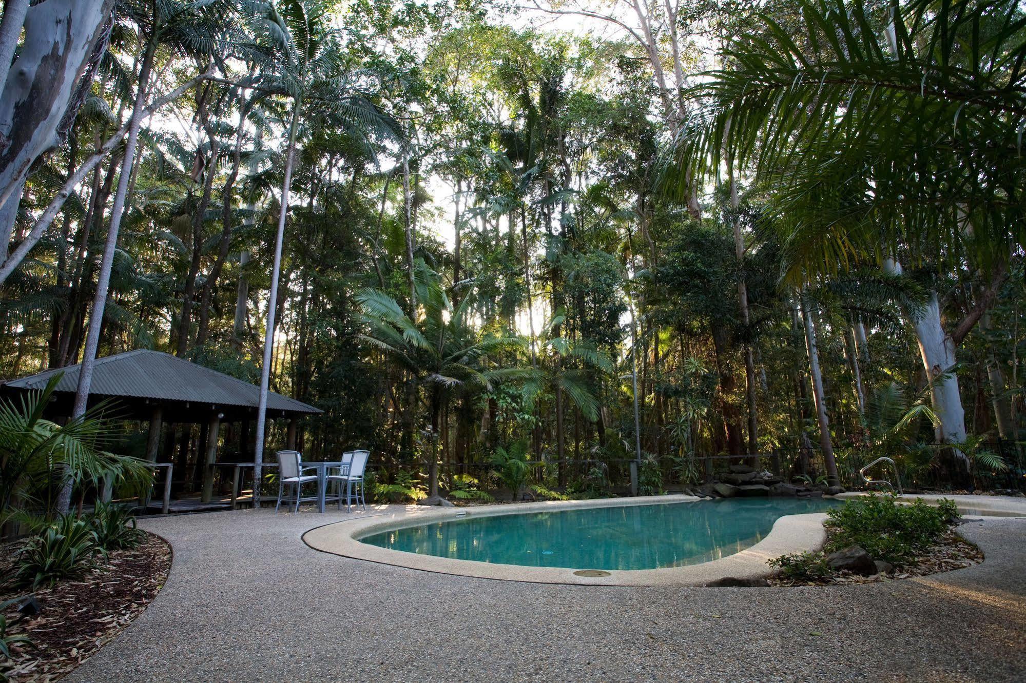 Amore On Buderim Rainforest Cabins Sunshine Coast Zewnętrze zdjęcie